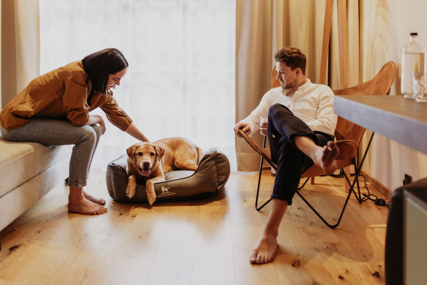 Holiday with Dog