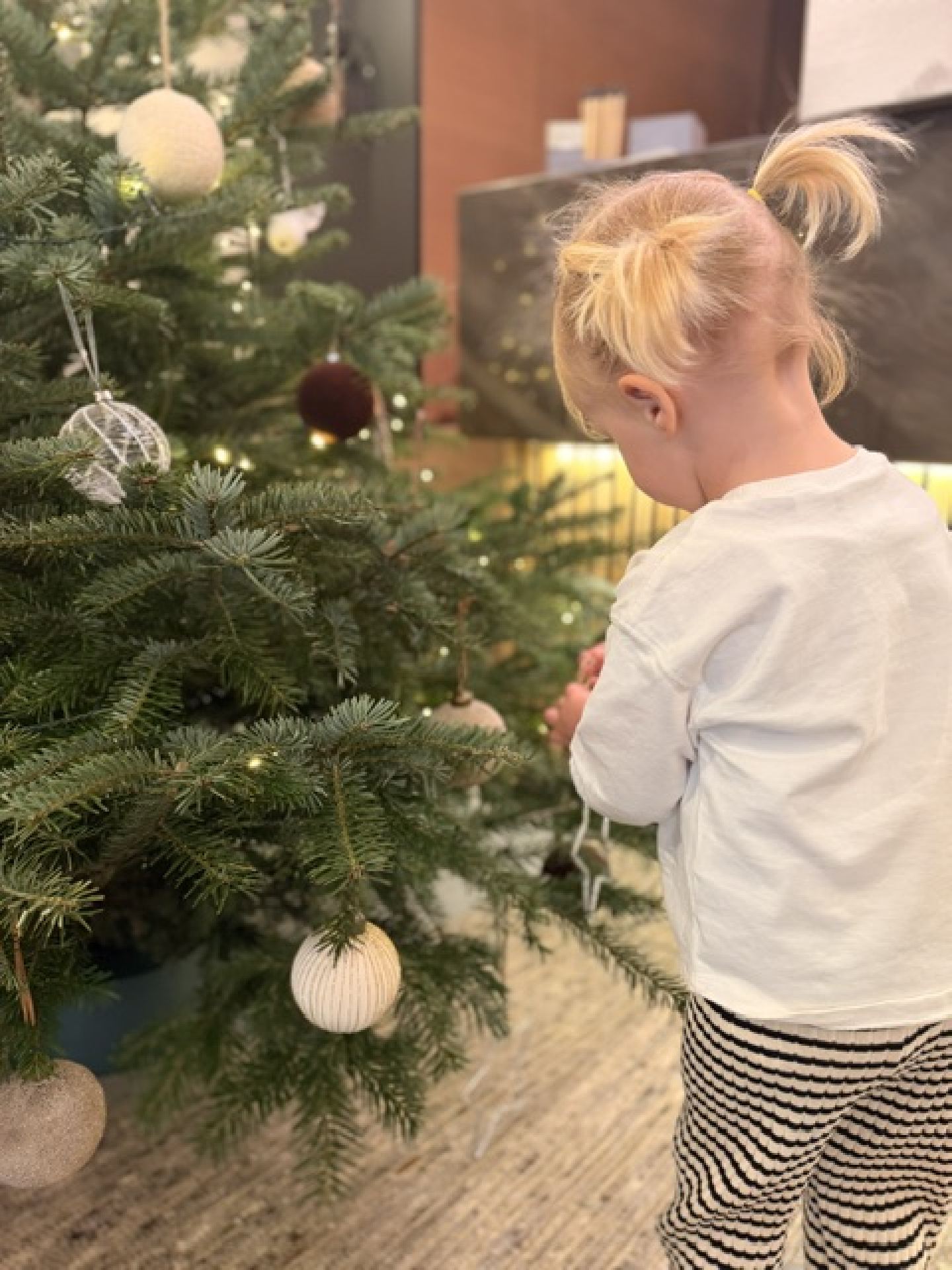Weihnachten in den Bergen