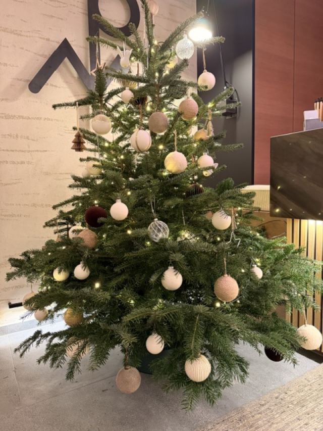 Weihnachten in den Bergen